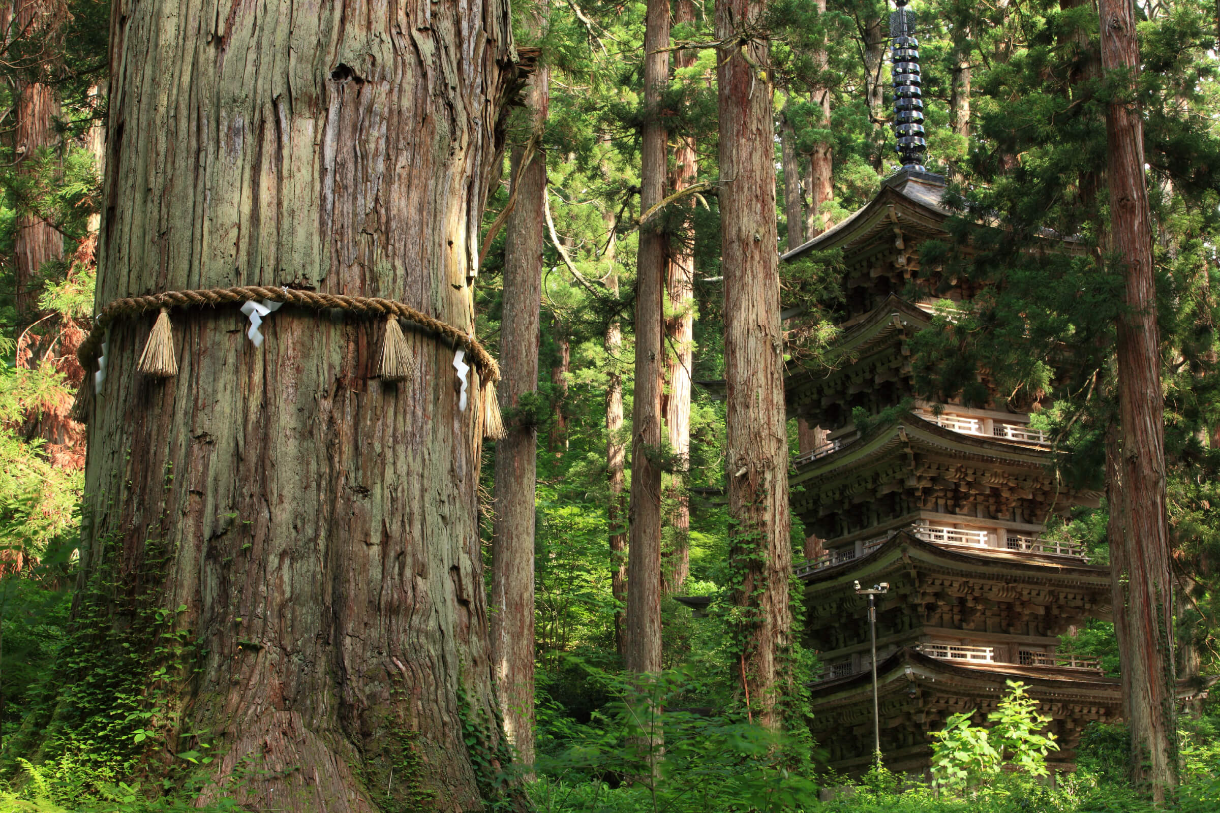 日本史学コース
